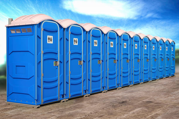 Types of Portable Toilets We Offer in Niagara, WI